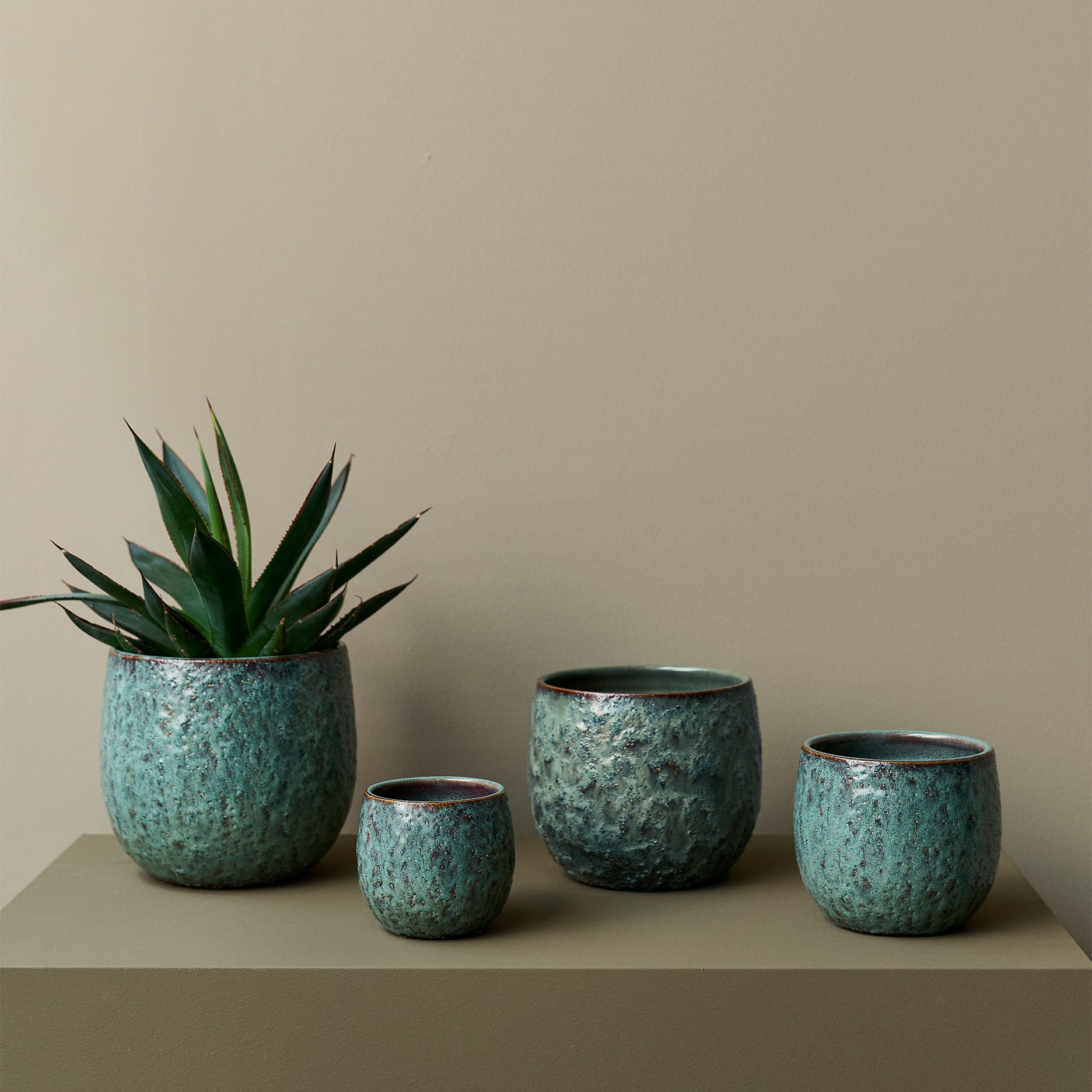 Joy Blumentopf